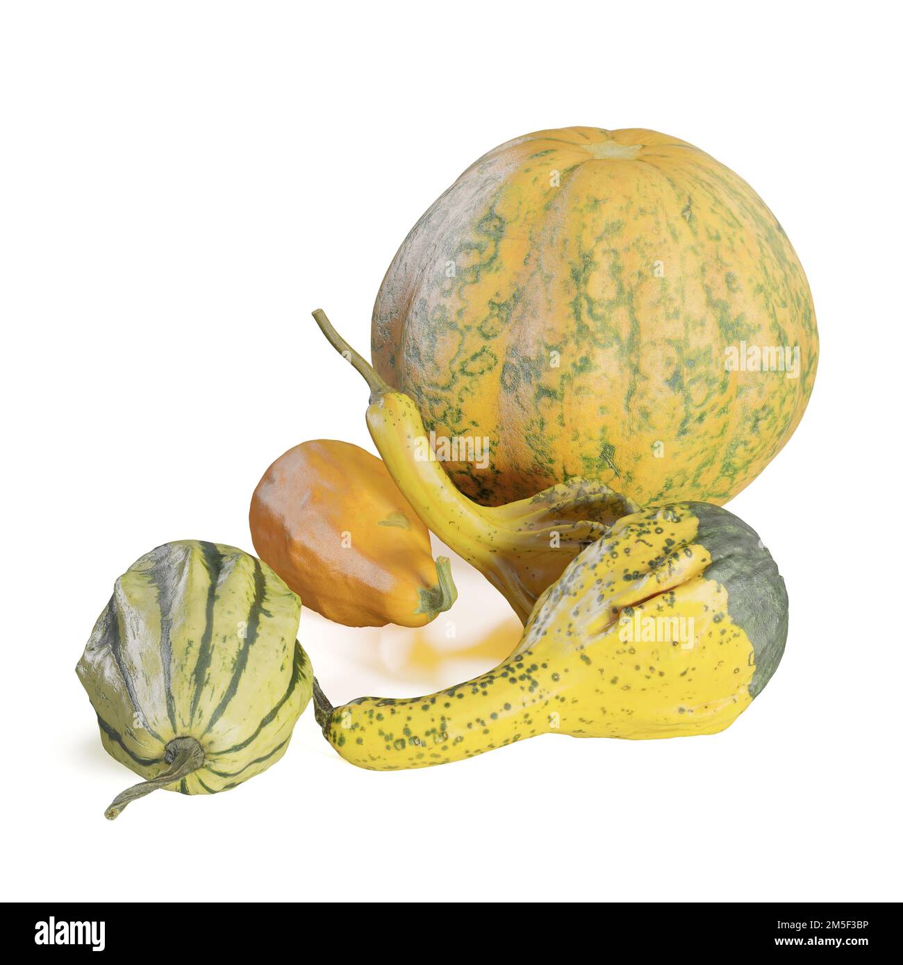 Einige Kürbisstücke in verschiedenen Formen, isoliert auf weißem Hintergrund Stockfoto