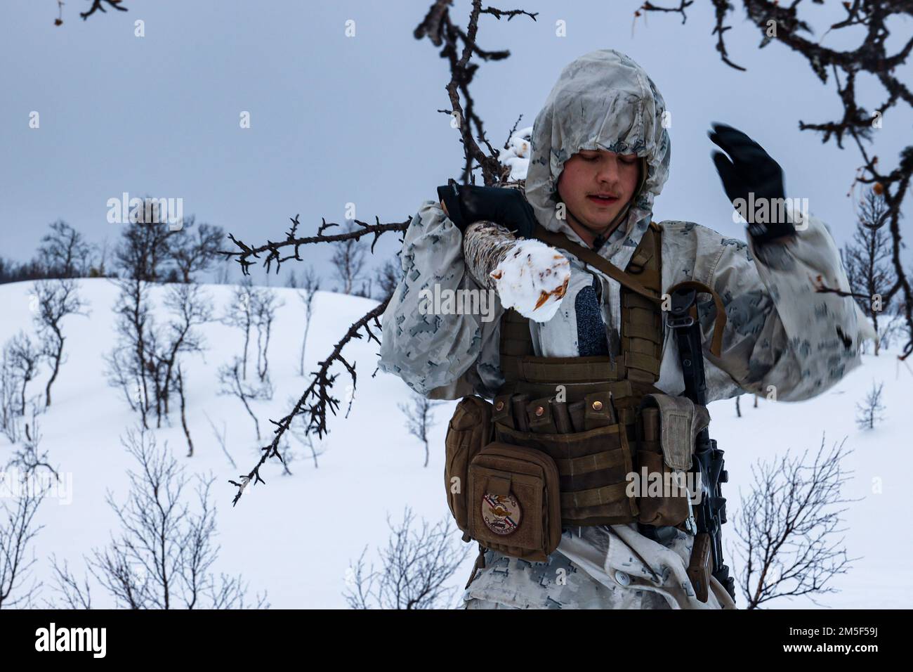 USA Justin Mostillo verwendet einen Baum, um seinen Beobachtungspunkt während eines Beobachtungspunkts zu verbergen. Praktische Anwendung während der Übung Cold Response 2022, Setermoen, Norwegen, 10. März 2022. Mostillo ist ein Fire Support Marine mit All Domain Effects Team, 2. Air Naval Gunfire Liaison Company, II Marine Expeditionary Force Information Group. Übung Cold Response '22 ist eine alle zwei Jahre stattfindende norwegische nationale Bereitschafts- und Verteidigungsübung, die in ganz Norwegen stattfindet, mit Beteiligung jedes seiner Militärdienste sowie von 26 weiteren Nordatlantikvertrags-Organisation A Stockfoto