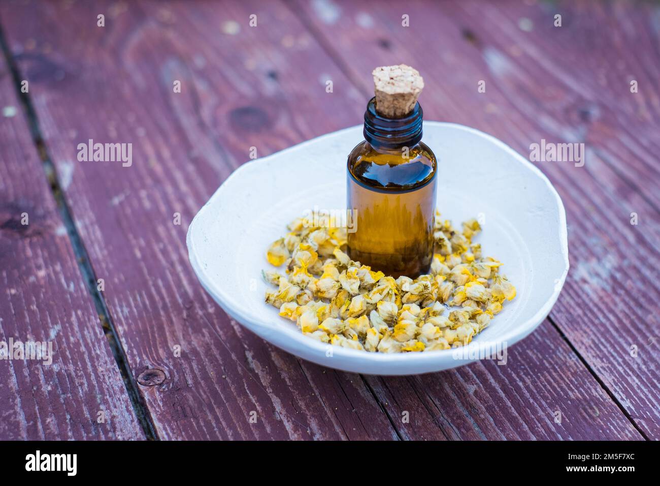 Trockener Kräutertee aus großen Mulleinblüten oder Verbascum thapsus in einer kleinen Tonschüssel mit brauner Arzneimittelflasche auf Holzhintergrund. Stockfoto