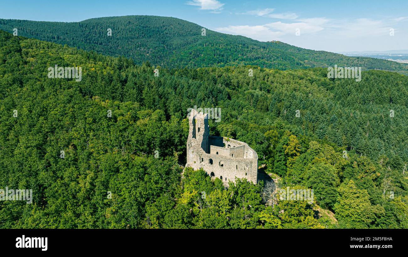 Schloss Spesbourg, Elsass, Frankreich. Luftaufnahme Stockfoto