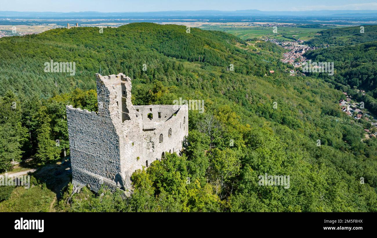 Schloss Spesbourg, Elsass, Frankreich. Luftaufnahme Stockfoto