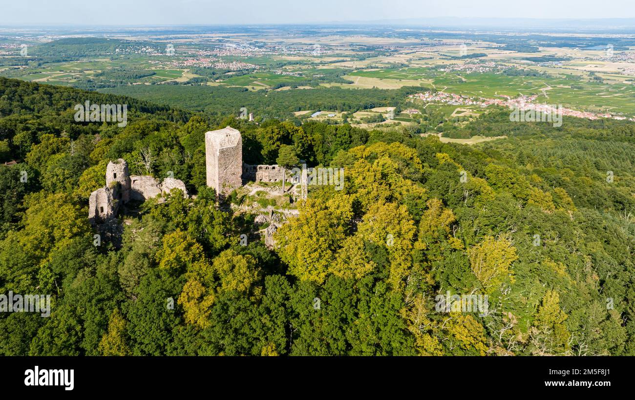 Schloss Landsberg, Elsass, Frankreich. Drohnenansicht Stockfoto