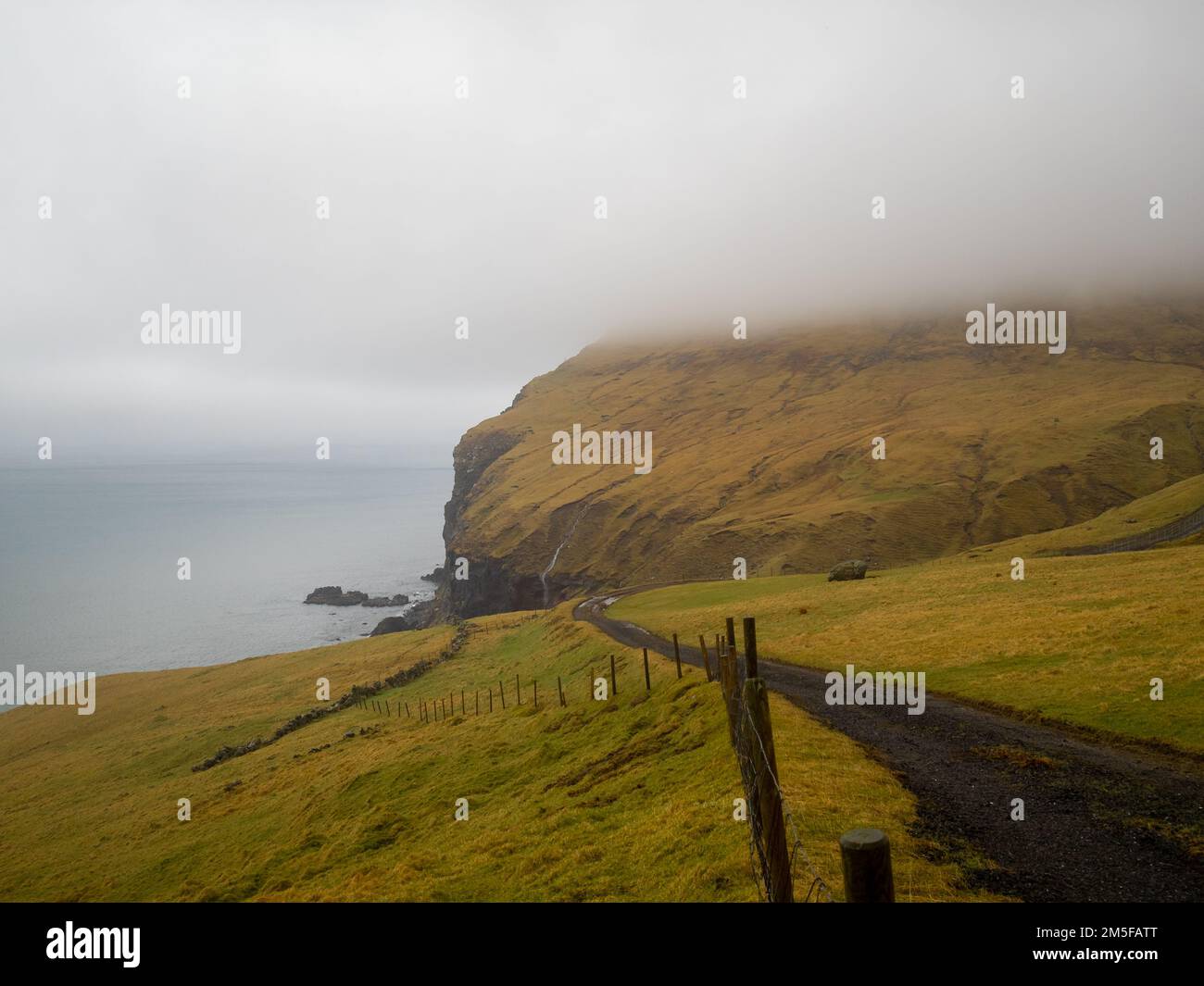Grasfelder an der Küste der Insel Vágar Stockfoto