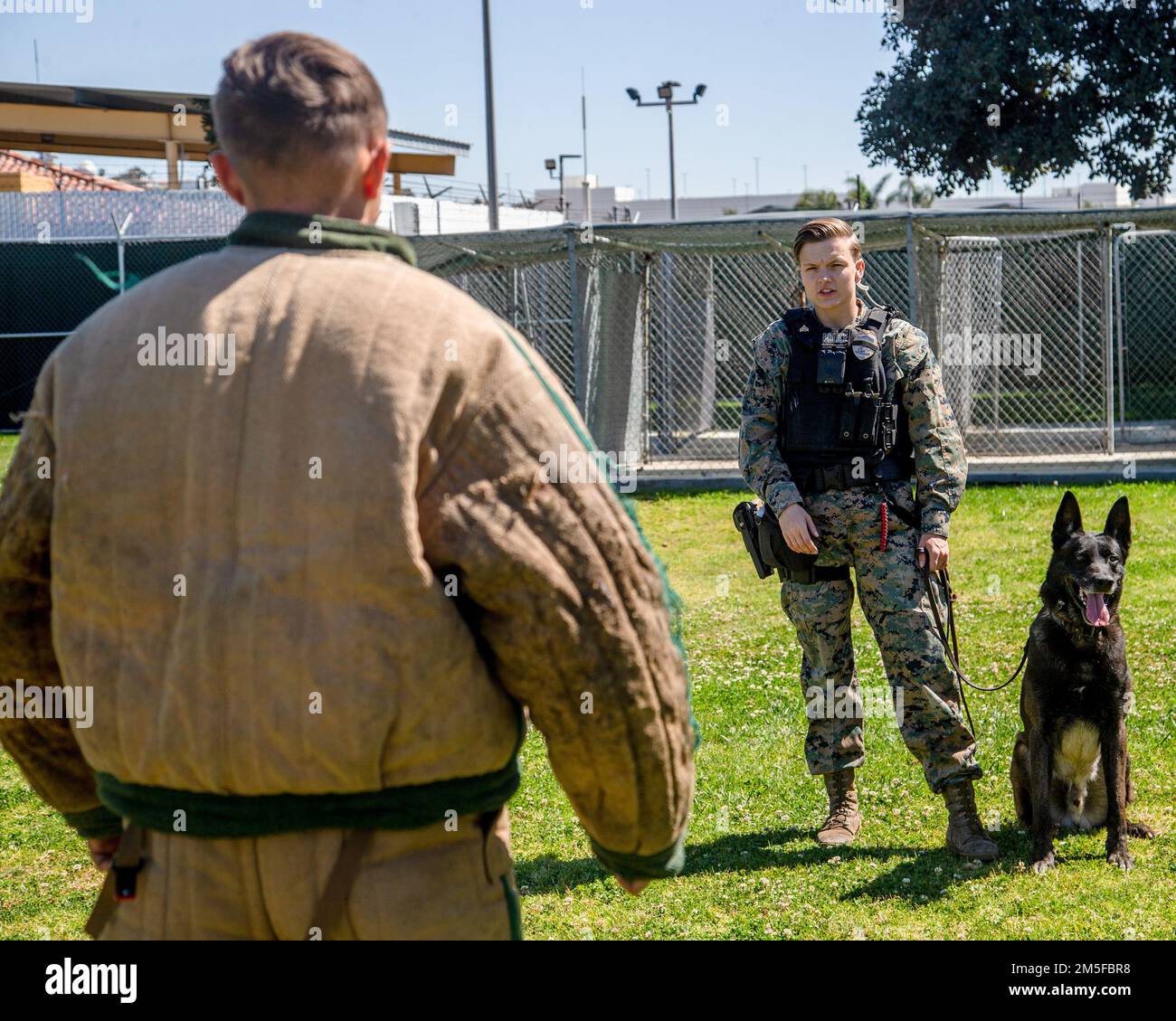 USA Marinekorps CPL. Makayla A. Wedge, Right, und CPL. Dennis E. Mitchell III, militärische Arbeits-Hund-Handler mit Hauptquartier- und Service-Bataillon, Marine Corps Recruit Depot (MCRD) San Diego, trainiert MWD Nero auf den fünf Stufen der Aggression am MCRD San Diego, 11. März 2022. Die fünf Schritte der Aggression sind das Interview, Verfolgungsjagd und Angriff, Suche, Suche und Wiederangriffnahme, Eskorte, Und Standoff. Stockfoto