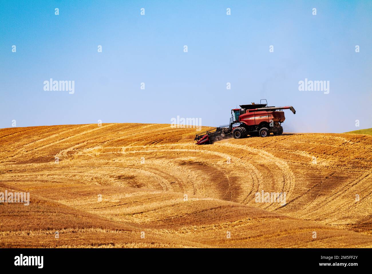 Landwirtschaftliche Mähdrescher; landwirtschaftliche Region Palouse; Washington; USA Stockfoto