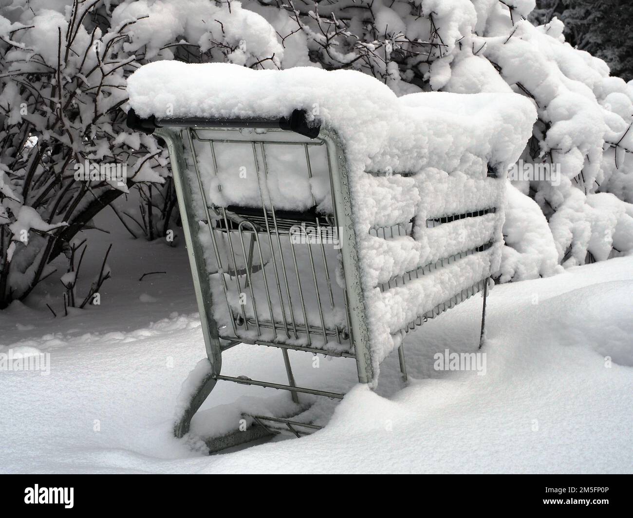 Der starke Schneefall in der kanadischen Hauptstadt verwandelt die Stadt in ein Winterwunderland genau rechtzeitig zu Weihnachten. Verlassener Einkaufswagen voller Schnee. Stockfoto