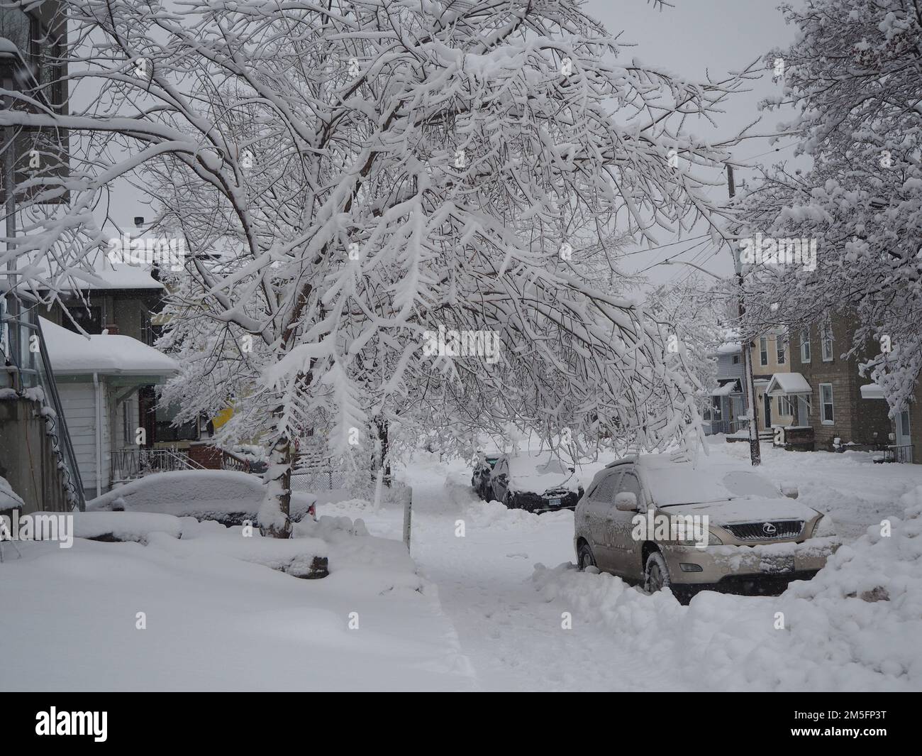 Ottawa, ON, Kanada - 18. Dezember 2022: Starker Schneefall in der kanadischen Hauptstadt verwandelt die Stadt gerade rechtzeitig zu Weihnachten in ein Winterwunderland. Stockfoto