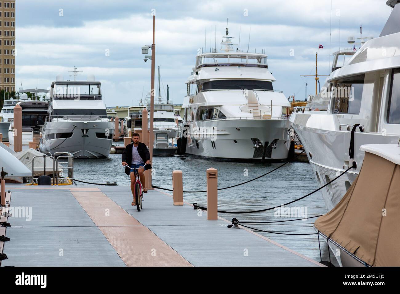 Ein Mann fährt mit dem Fahrrad auf dem Pier inmitten der Motoryachten, die an der Palm Harbor Marina an der Lake Worth Lagoon in West Palm Beach, Florida, USA angelegt sind. Stockfoto