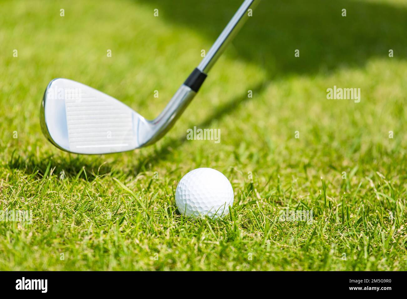 Nahaufnahme des weißen Golfballs auf einem Stand auf einem grünen Feld Stockfoto