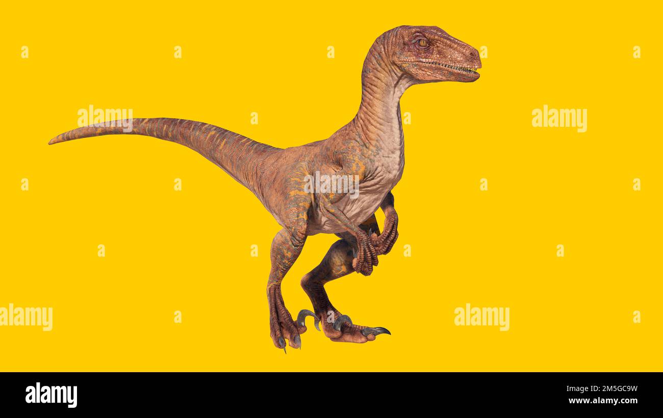 Eine 3D-Darstellung eines Velociraptor-Dinosauriers, isoliert auf gelbem Hintergrund Stockfoto