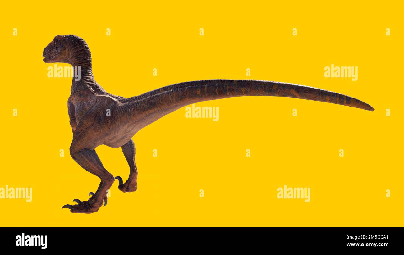 Eine 3D-Darstellung eines Velociraptor-Dinosauriers, isoliert auf gelbem Hintergrund Stockfoto