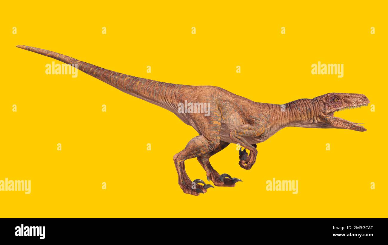 Eine 3D-Darstellung eines brüllenden Velociraptor-Dinosauriers, isoliert auf gelbem Hintergrund Stockfoto