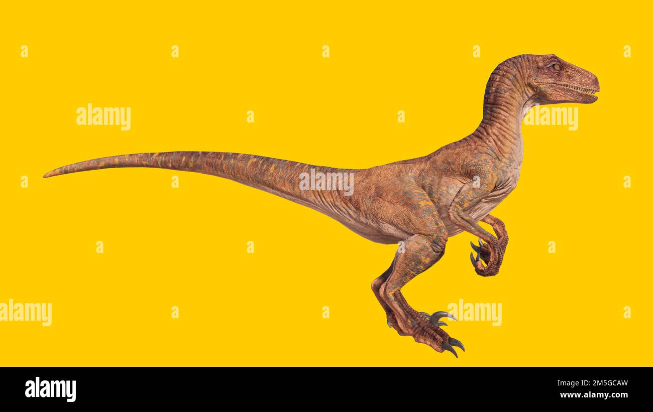Eine 3D-Darstellung eines Velociraptor-Dinosauriers, isoliert auf gelbem Hintergrund Stockfoto