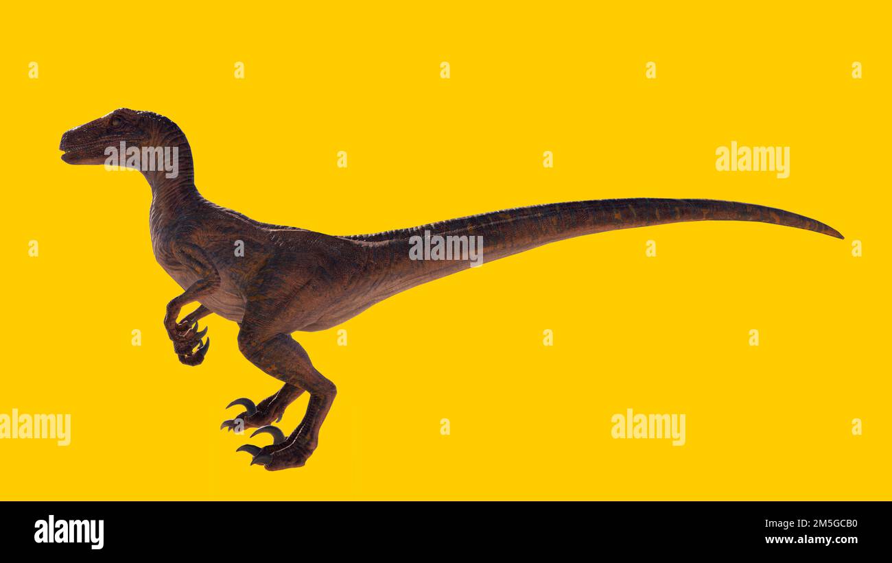 Eine 3D-Darstellung eines Velociraptor-Dinosauriers, isoliert auf gelbem Hintergrund Stockfoto