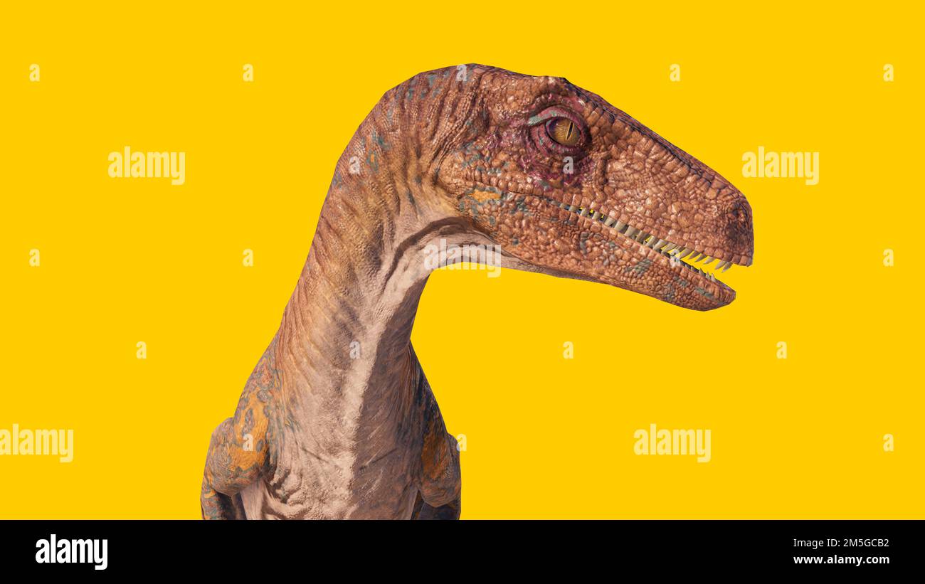 Eine 3D-Darstellung eines Velociraptor-Dinosaurierkopfes isoliert auf gelbem Hintergrund Stockfoto