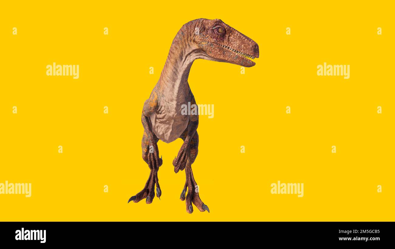 Eine 3D-Darstellung eines Velociraptor-Dinosauriers, isoliert auf gelbem Hintergrund Stockfoto