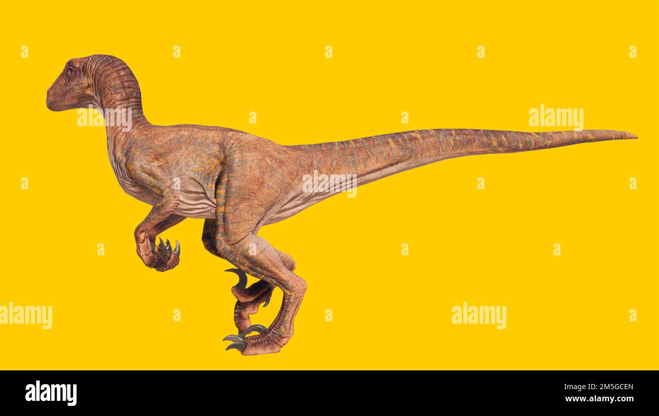 Eine 3D-Darstellung eines Velociraptor-Dinosauriers, isoliert auf gelbem Hintergrund Stockfoto