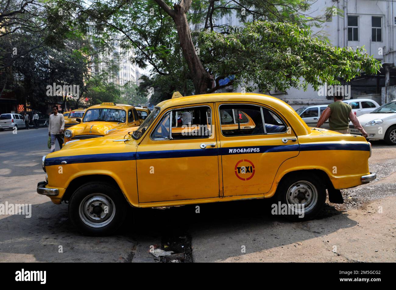 Gelbe Botschafter taxis in Kalkutta, Indien. Stockfoto