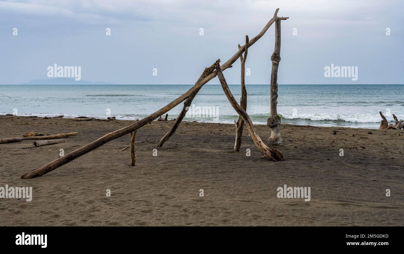 Bau von Treibholz an einem natürlichen Strand Parco Regionale della Maremma, Grossetto, Toskana, Italien Stockfoto