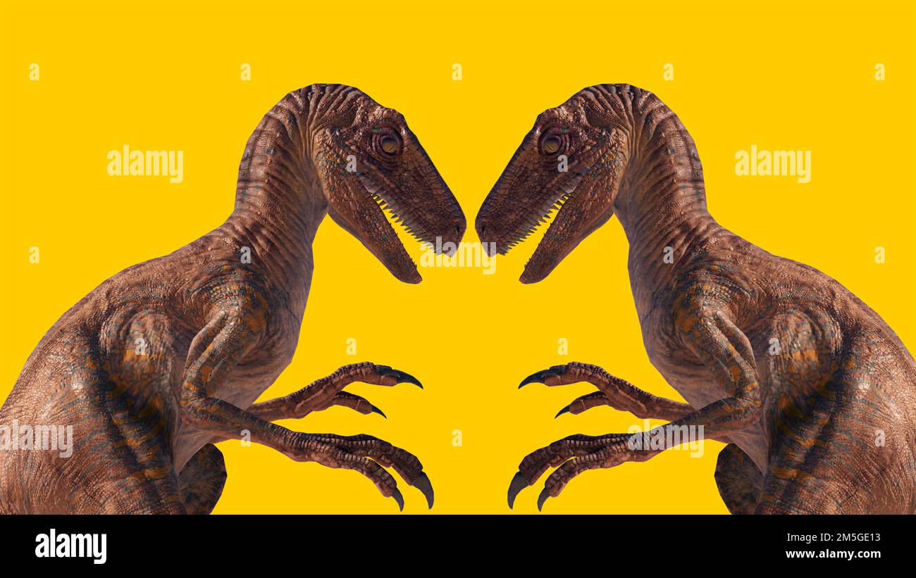 Eine 3D-Darstellung zweier Velociraptor-Dinosaurier, isoliert auf gelbem Hintergrund Stockfoto