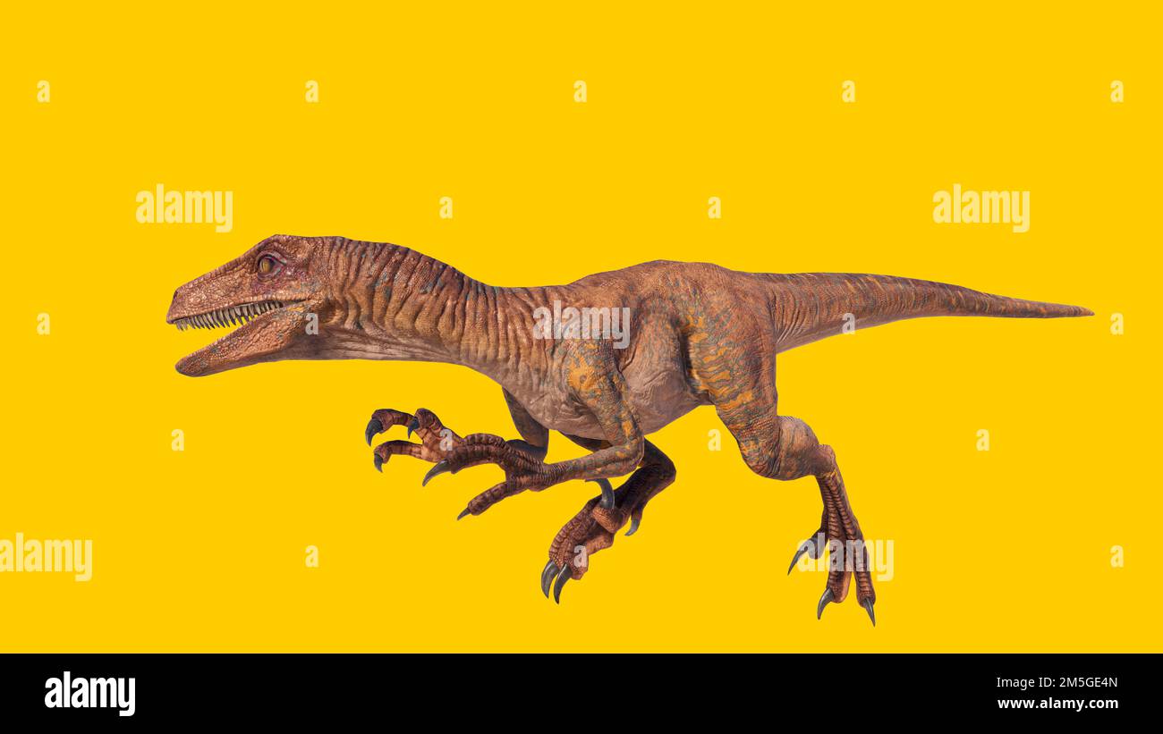 Eine 3D-Darstellung eines Velociraptor-Dinosauriers, isoliert auf gelbem Hintergrund Stockfoto