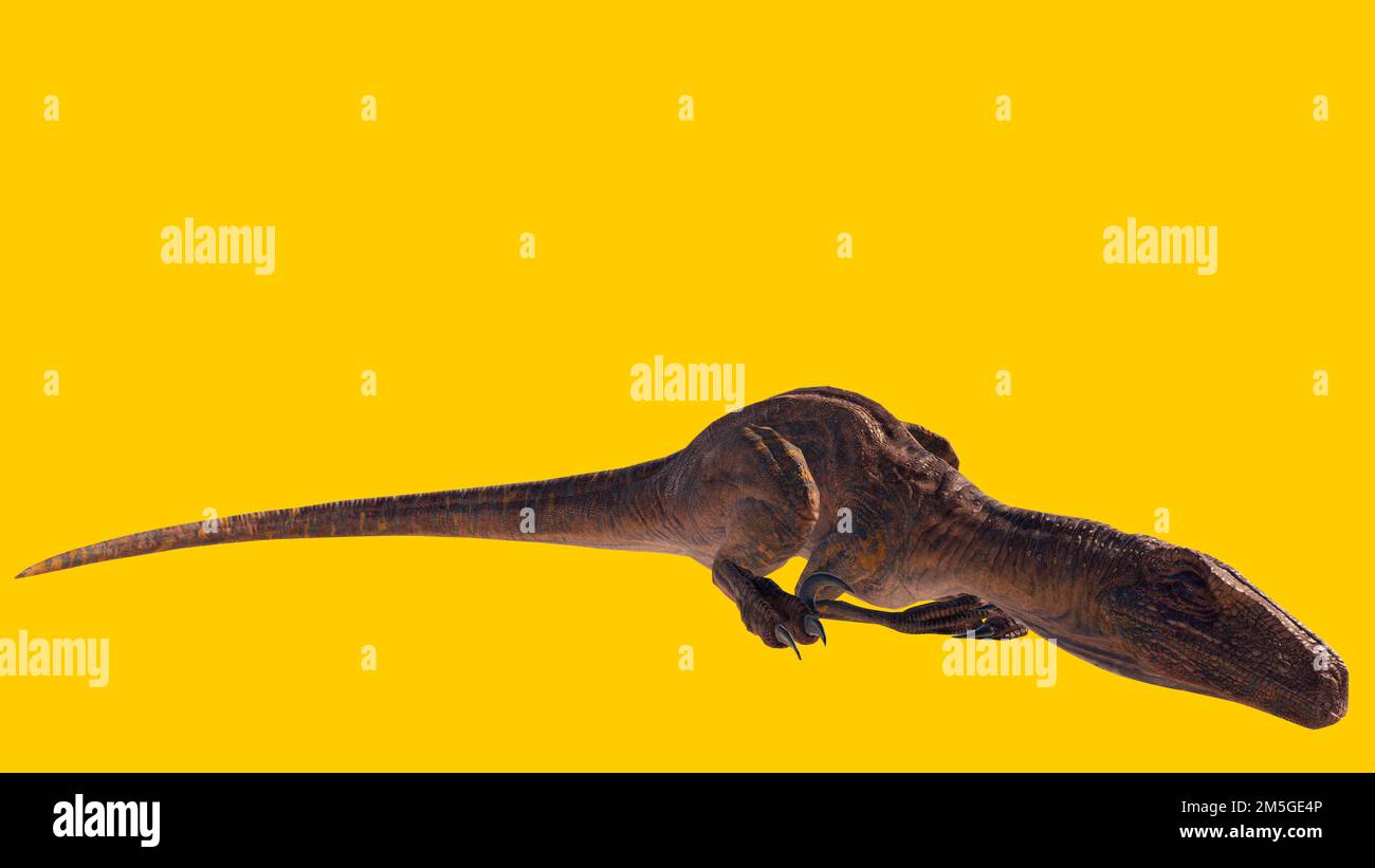 Eine 3D-Darstellung eines schlafenden Velociraptor-Dinosauriers, isoliert auf gelbem Hintergrund Stockfoto