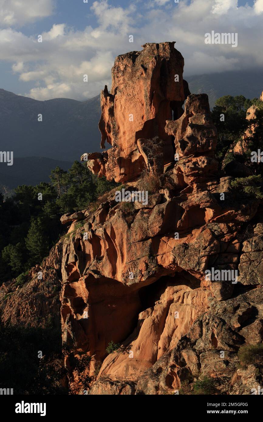 Bizarre rote Felsenlandschaft im Abendlicht, Calanques de Piana, Korsika, Frankreich Stockfoto