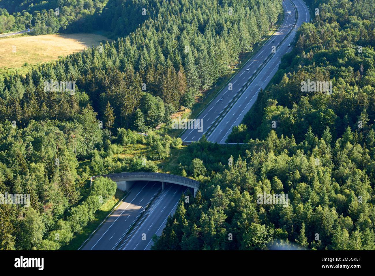 Game Bridge auf der A1 bei Wittlich. Wittlich, Rheinland-Pfalz, Deutschland Stockfoto