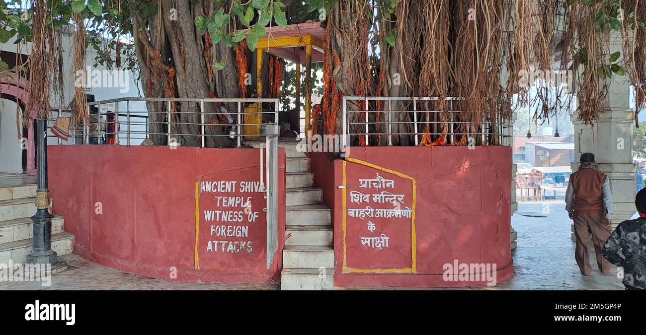 Antiker Shiva-Tempel im Jyotisar in Kurukshetra, Haryana, Indien Stockfoto