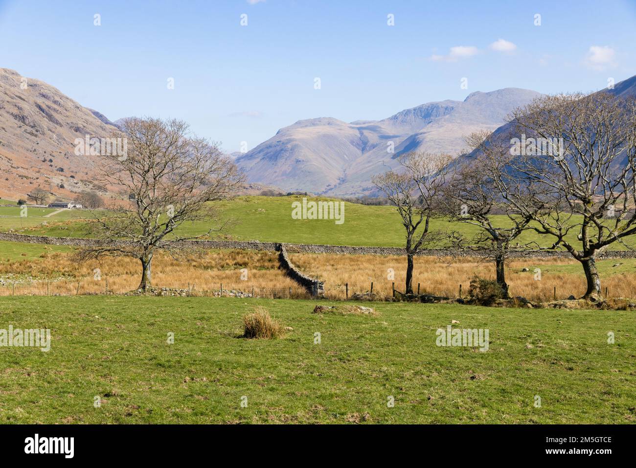 Lake District, Scafell Pike und Great Gabel aus Nether Wasdale Stockfoto