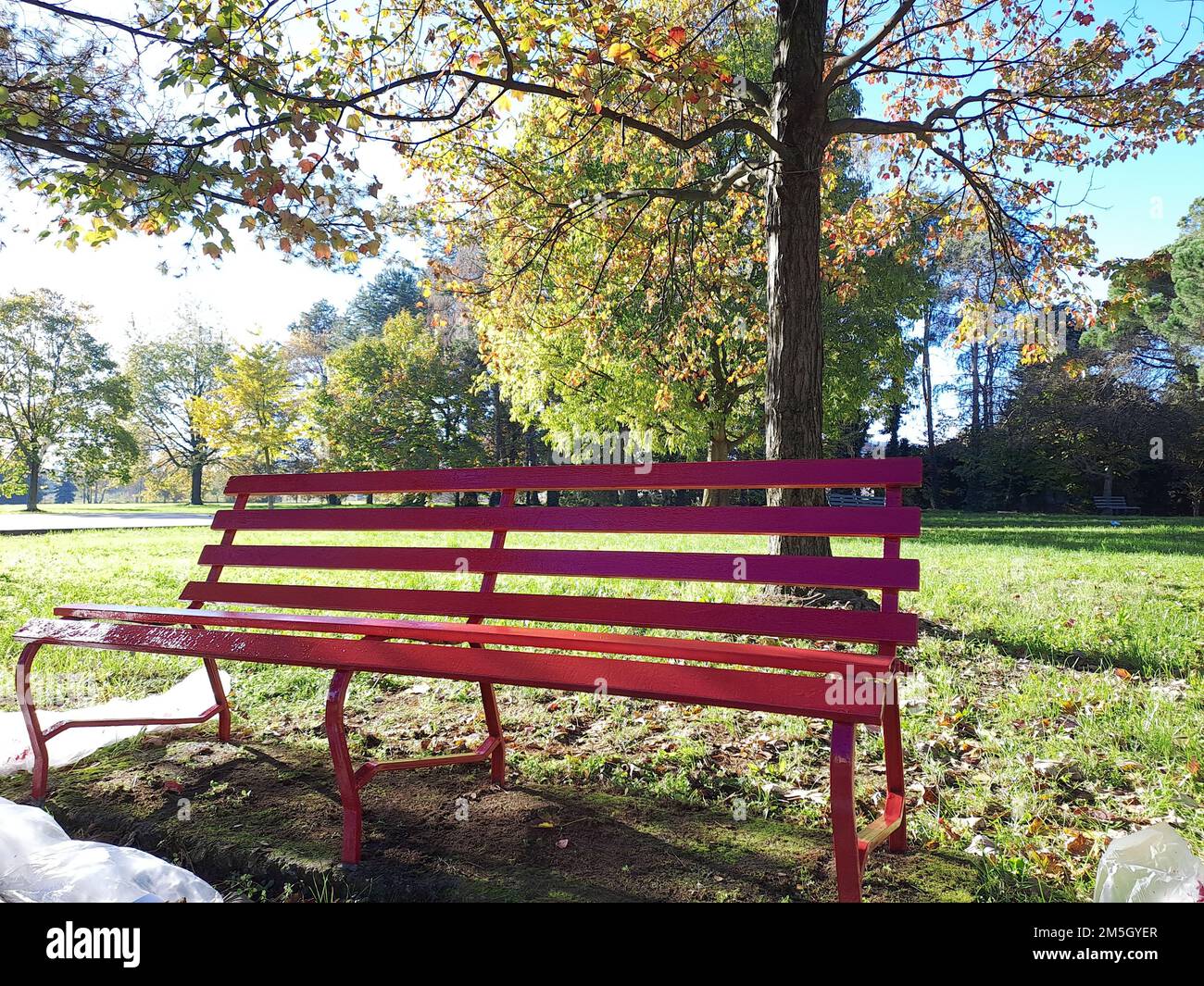 Red Bench Gegen Gewalt Gegen Frauen Stockfoto