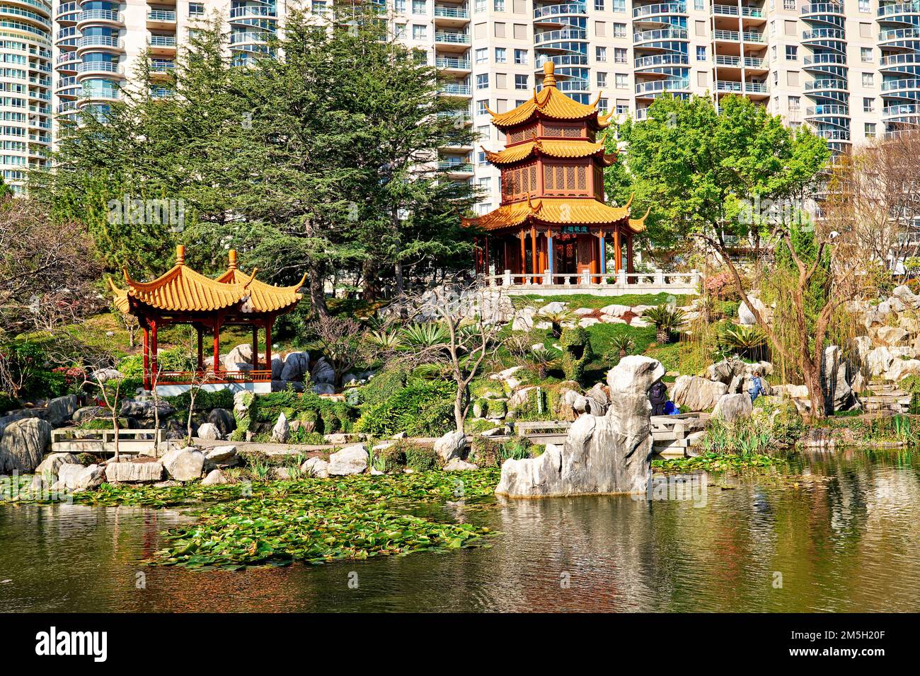 Sydney. New South Wales. Australien. Der Chinesische Garten der Freundschaft Stockfoto