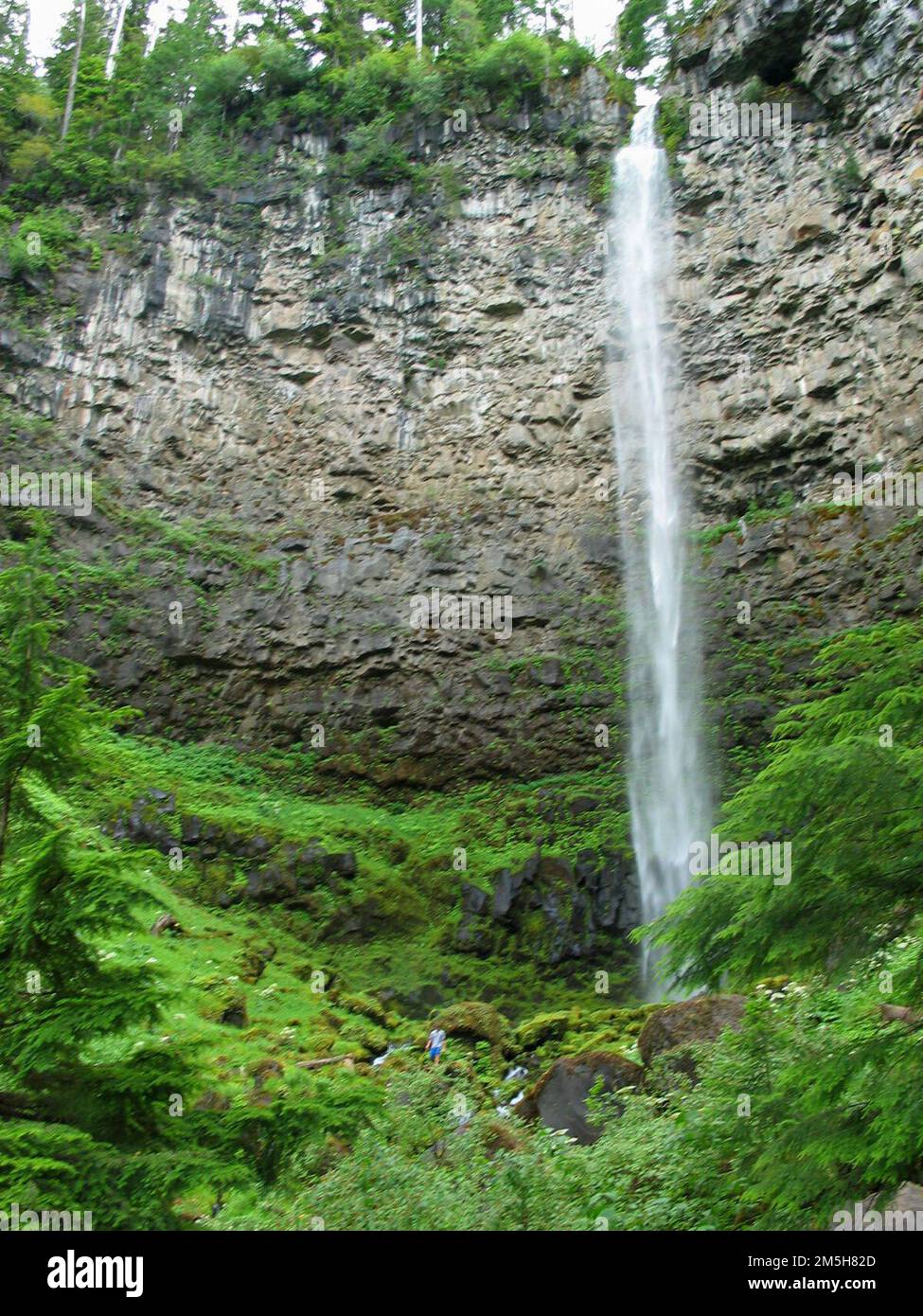 Rogue-Umpqua Scenic Byway - Watson Falls. Vor etwa 750.000 Jahren erzeugten Vulkanausbrüche einen heißen, geschmolzenen Lavastrom, der dieses Tal Hunderte Meter tief mit Basaltikgestein füllte. Watson Creek fließt über den nördlichen Rand dieses Flusses und bildet Watson Falls. Standort: Watson Falls, Oregon (43,242° N 122,389° W) Stockfoto