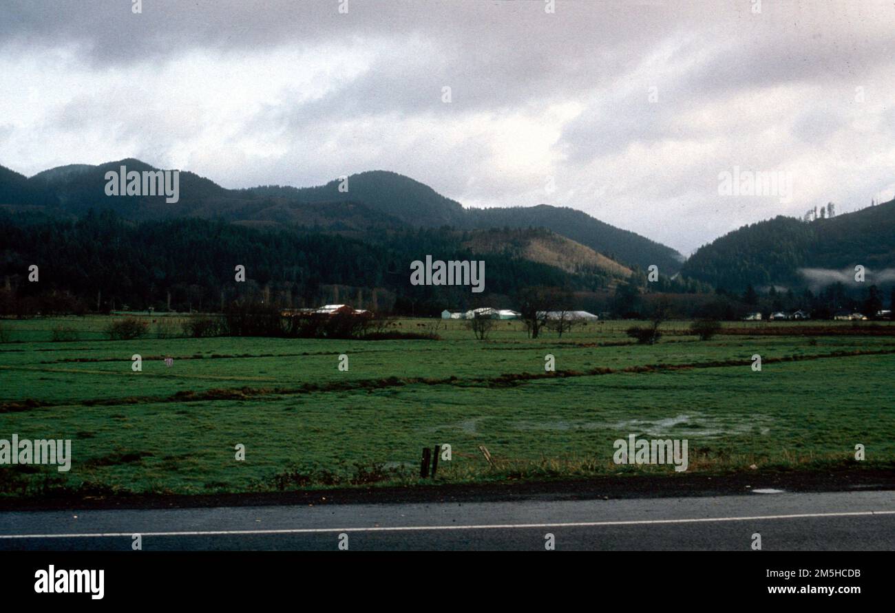 Pacific Coast Scenic Byway - Oregon - Weiden Von Tillamook County. Hier sehen Sie eine typische, pasturale Umgebung entlang des ländlichen US 101 entfernt von der Küste im Tillamook County. Standort: Oregon (45,441° N 123,833° W) Stockfoto