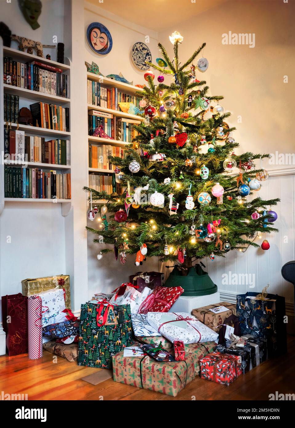 Blauer Fichtenbaum in einem Haus in North London, Großbritannien Stockfoto