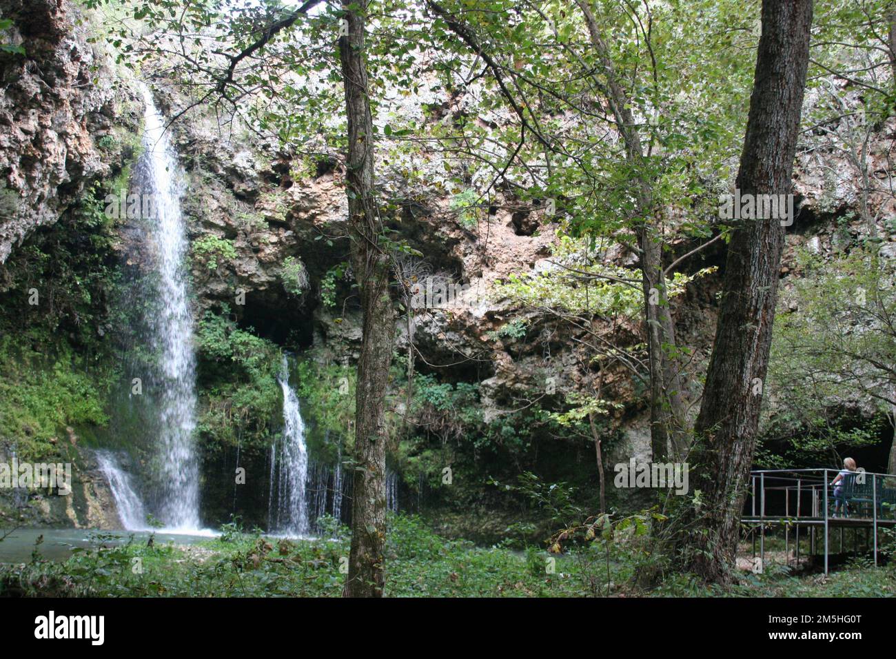 Wo der rote farn wchst -Fotos und -Bildmaterial in hoher Auflsung  Alamy