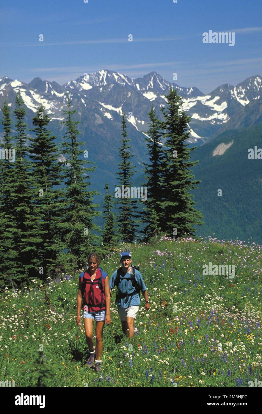 International Selkirk Loop - Wandern in den Selkirk Mountains. Zwei Wanderer genießen einen atemberaubenden Blick hoch oben in den wilden Selkirk Mountains. Die Berge bieten Hunderte von Kilometern Wanderwege für alle Schwierigkeitsgrade. Einige Wege bieten Interpretationen und sogar Rollstuhlzugang. Die International Selkirk Loop Route umfasst viele Zugangspunkte zu den Wanderwegen in Washington, Idaho und British Columbia, wo Besucher spektakuläre Landschaften ohne Menschenmassen genießen können - es sei denn, Sie zählen die Tierwelt! (48,494° N 116,761° W) Stockfoto