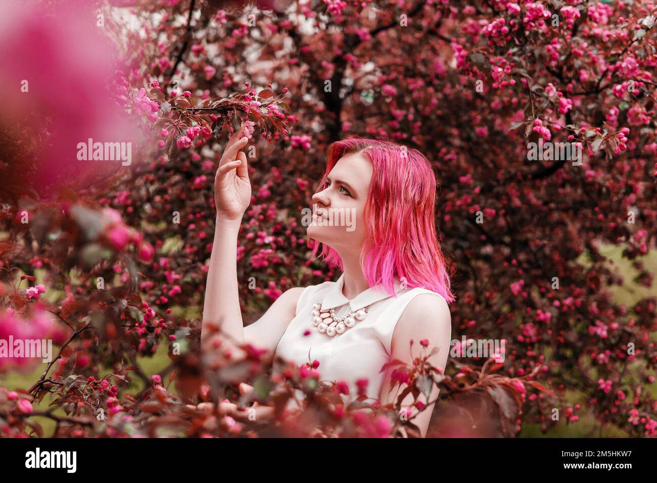 Ein junges Mädchen mit rosa Haaren in einem Apfelgarten. Hübsches junges Mädchen in einem blühenden Garten aus rosa Apfelbäumen Stockfoto
