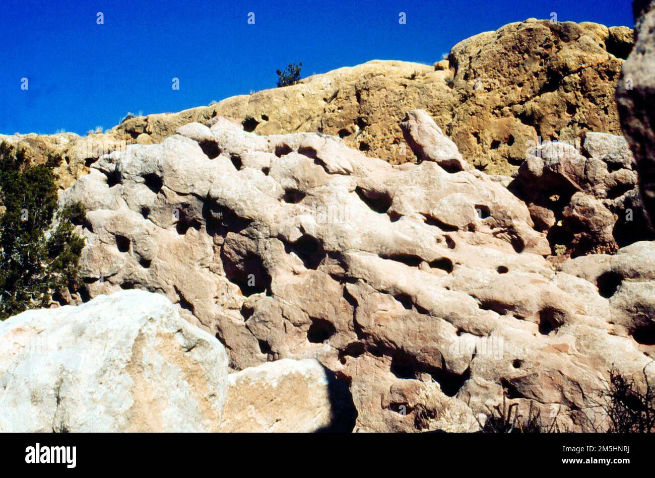 Turquoise Trail - Felsformation Garden of the Gods. Vertikale Beete aus farbenfrohem Sandstein und Schlammläden sind nur wenige Meter vom Turquoise Trail entfernt. Sie sind Teil der Galisteo Foundation, die vor 70 Millionen Jahren in Strömen deponiert wurde. Ort: Garden of the Gods, New Mexico (35,446° N 106,078° W) Stockfoto