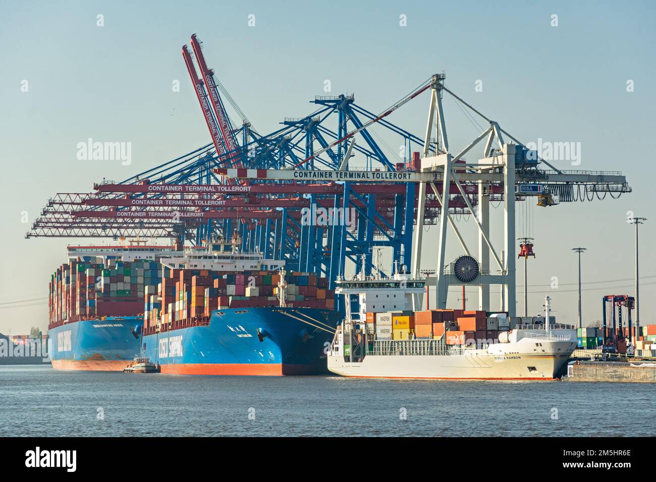 Große Containerschiffe und Hafenanlagen am Containerterminal Tollerort im Hafengebiet von Hamburg Stockfoto