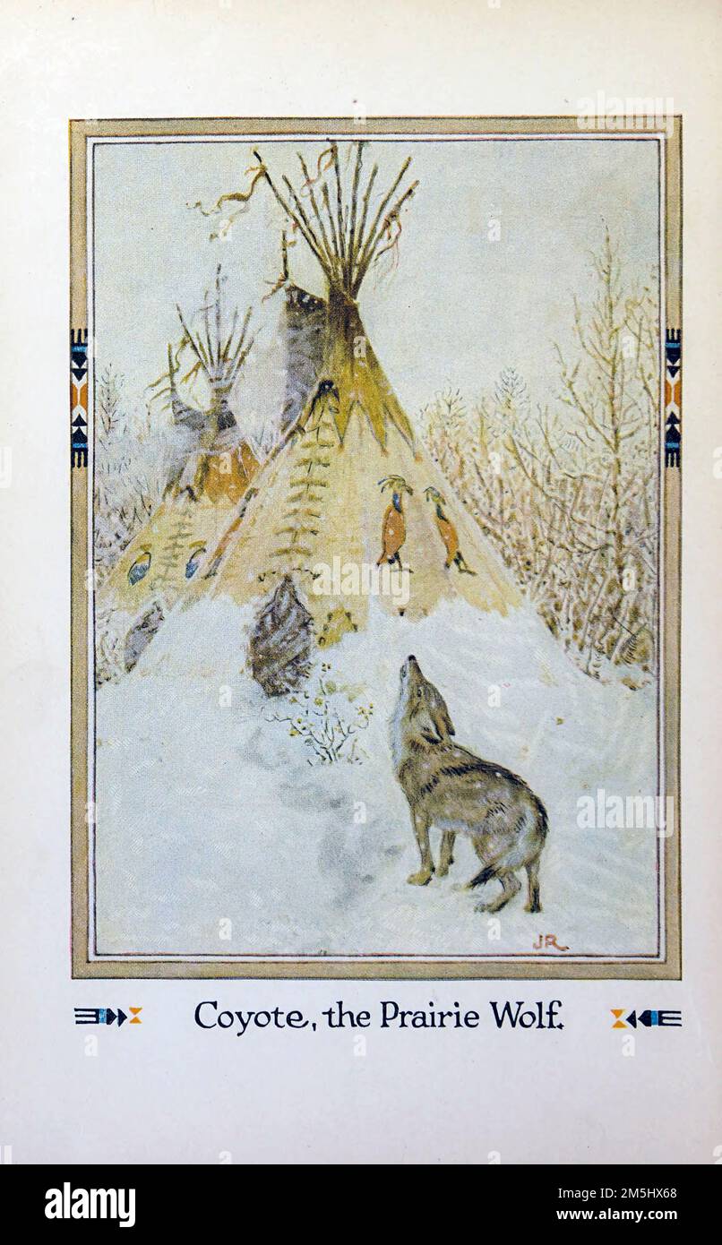 Coyote der Präriewolf, illustriert von John Rae aus dem Buch " American Indian Märchen " von William Trowbridge Larned, Publikationsdatum 1921 Herausgeber New York, P. F. Volland Stockfoto
