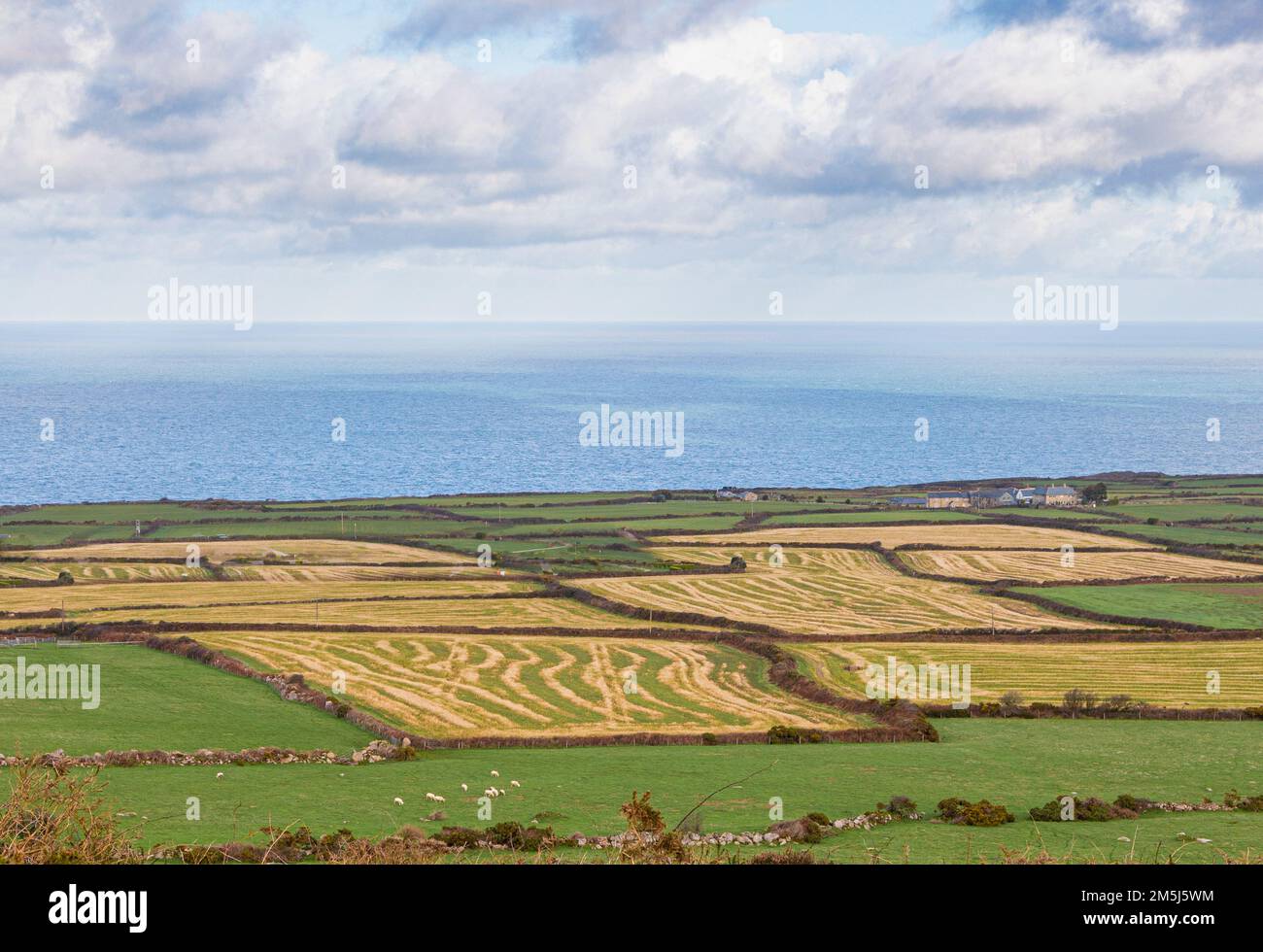 Mit Blick auf das Meer über Cornish Fields, St. Ives Stockfoto