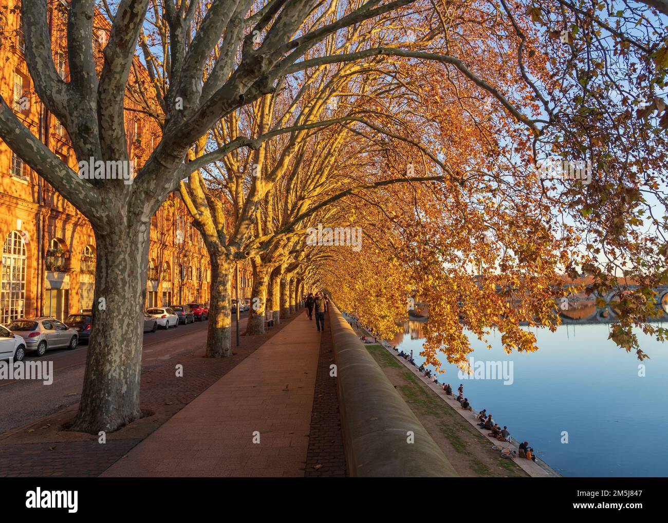 Toulouse, Frankreich - 12 21 2022 : Herbstlandschaft am Quai de la Daurade entlang des Flusses Garonne in der berühmten rosa Stadt zur goldenen Stunde Stockfoto