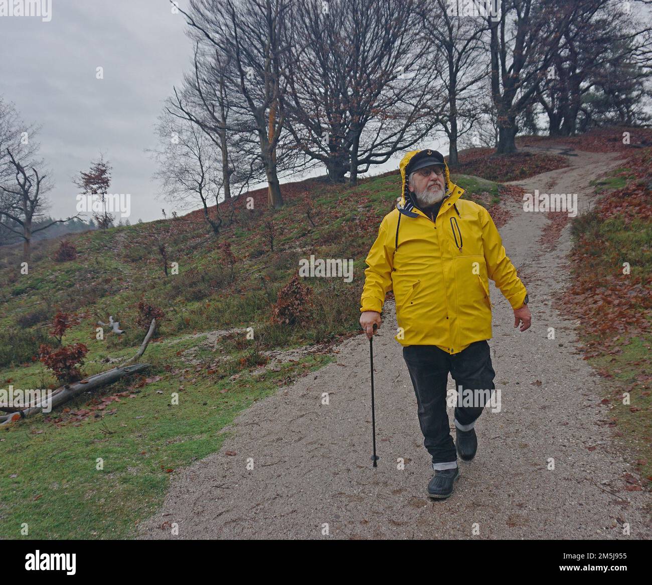 Ein älterer Mann geht an einem Regentag im Moor bergab. Er trägt einen gelben Regenmantel über seiner Kleidung. Das Heidegebiet ist ein bekanntes in der Neth Stockfoto