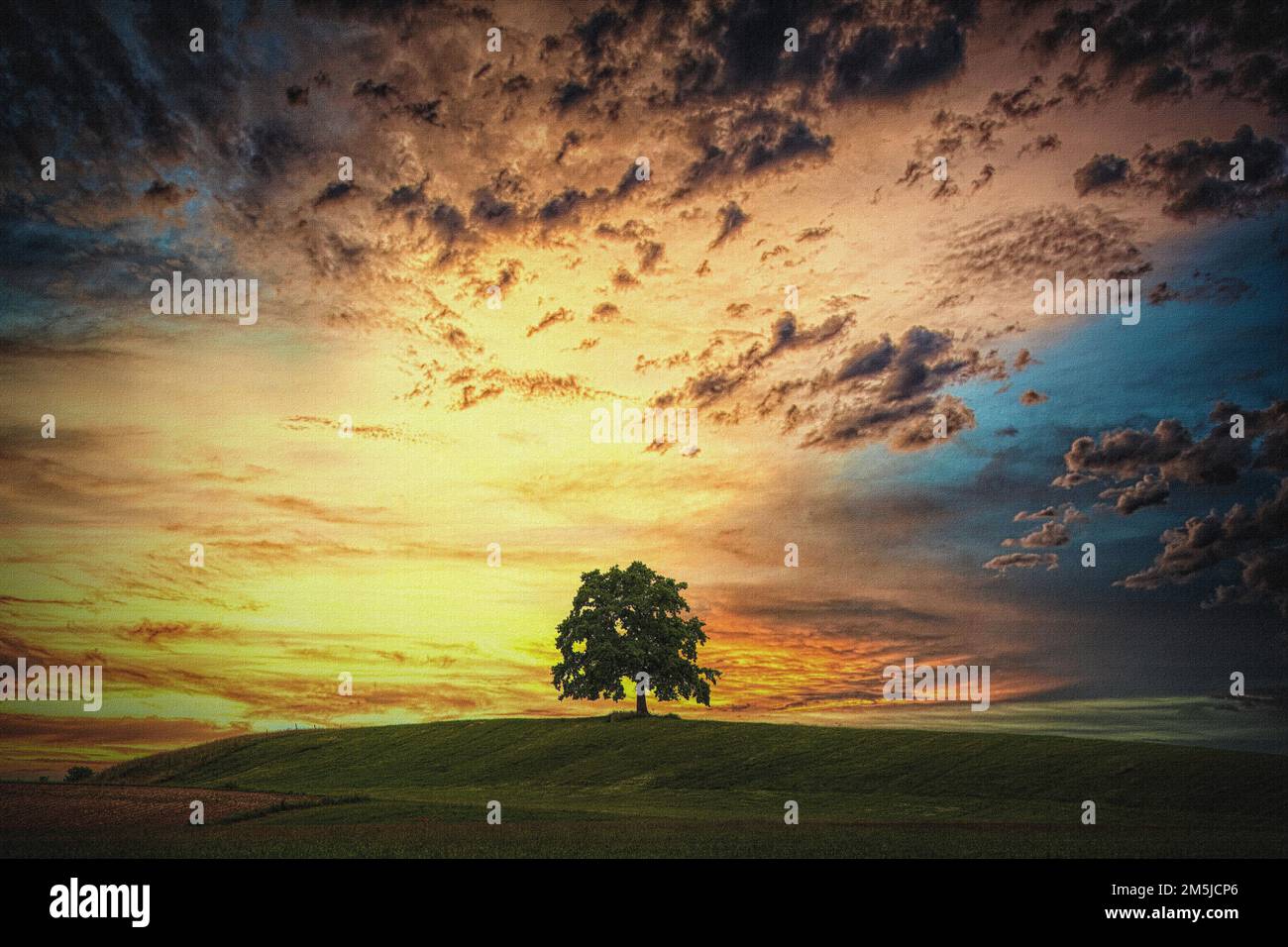 FOTOGRAFISCHE KUNST: Feld allein Stockfoto