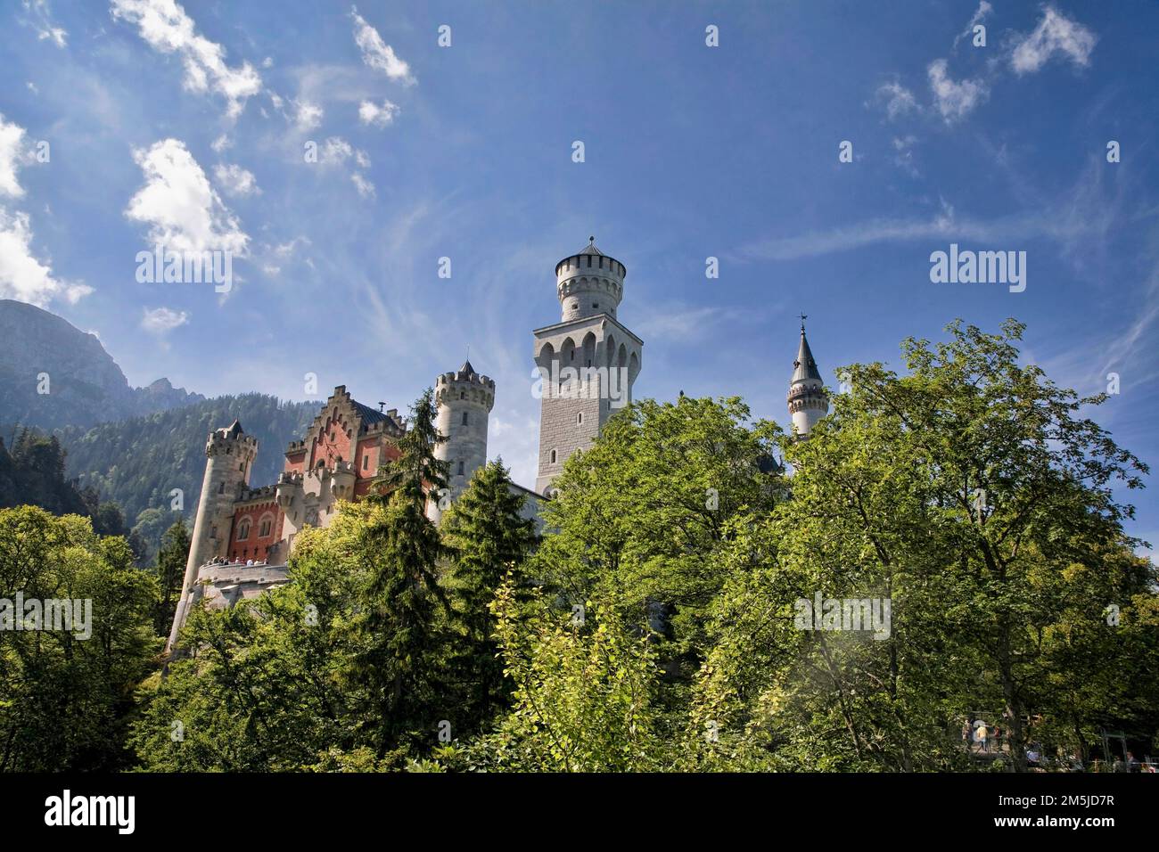 Schloss Neuschwanstein erhebt sich aus dem Wald am Fuße der Alpen in Süddeutschland. Stockfoto