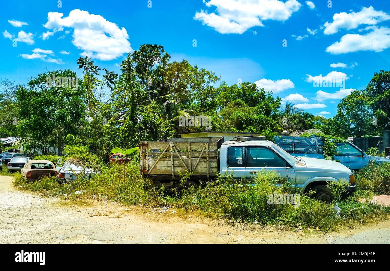 In den Büschen verrottete Autowracks in Kantunilkin Lazaro Cardenas in Quintana Roo Mexiko. Stockfoto