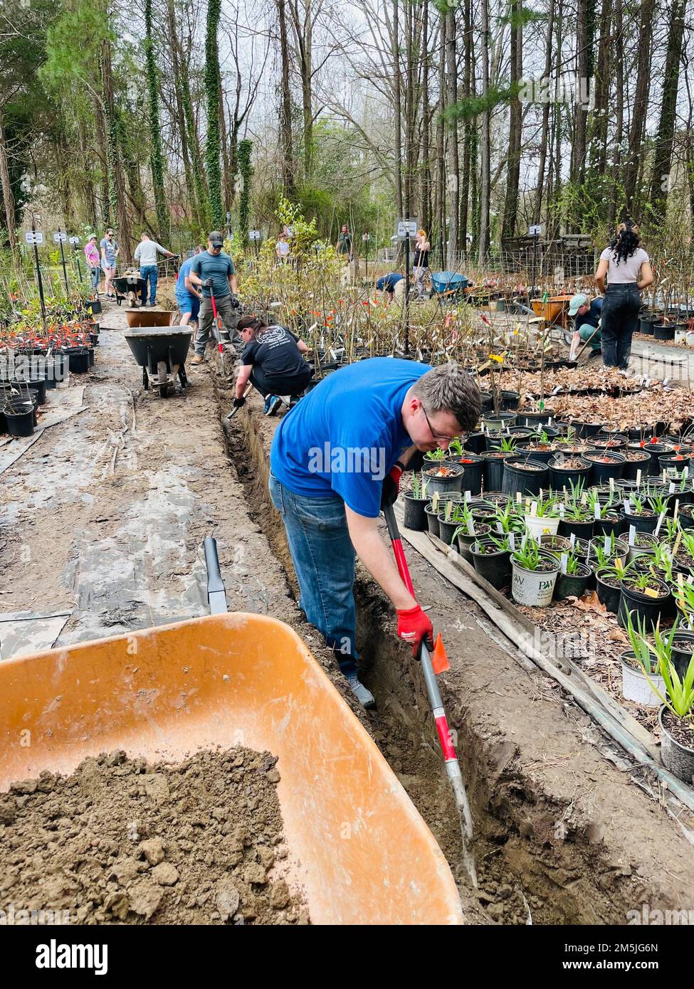 Matrosen, die der Naval Support Activity Hampton Roads zugeteilt sind, nehmen an einem Projekt für Gemeindebeziehungen im Chesapeake Arboretum Teil, wo sie Gräben graben und Schmutz im „Nature's Classroom“ entfernen, das sich im Herzen der Stadt Chesapeake befindet. Das Chesapeake Arboretum fördert das Gartenbau- und Umweltbewusstsein durch Ausstellungen, Bildung und Forschung. Stockfoto