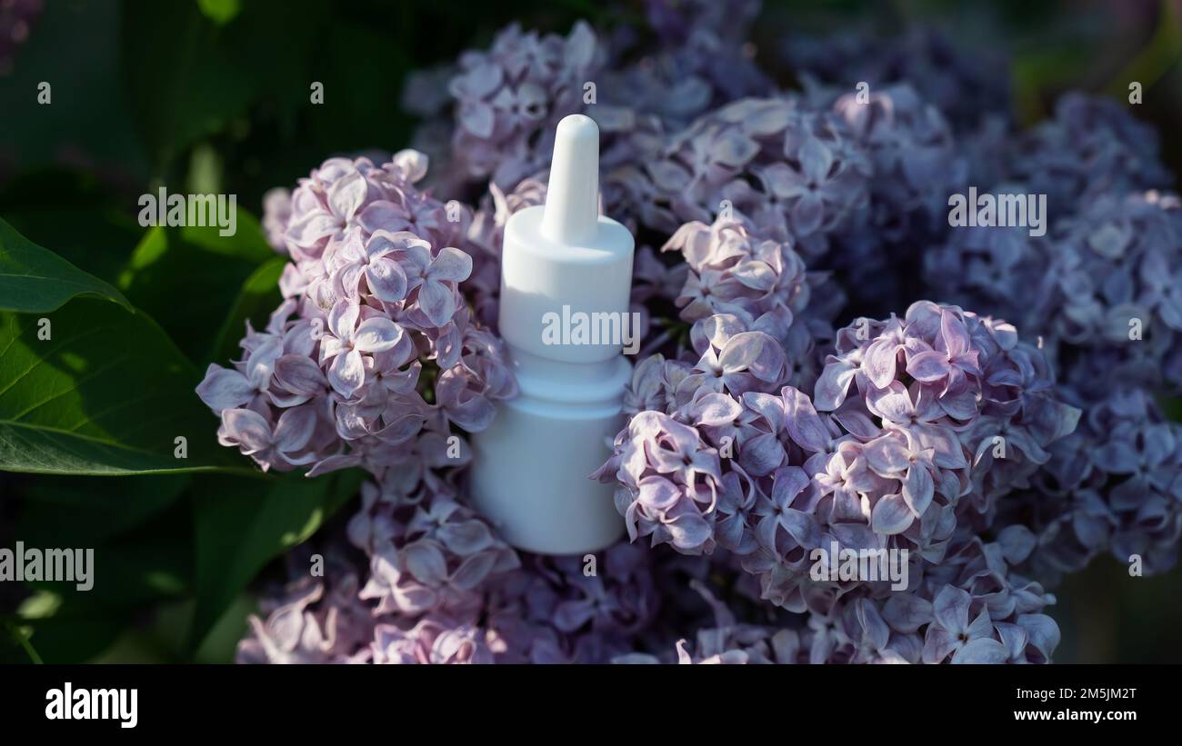 Nasenspray auf blühenden Flieder. Allergiesaison. Stockfoto
