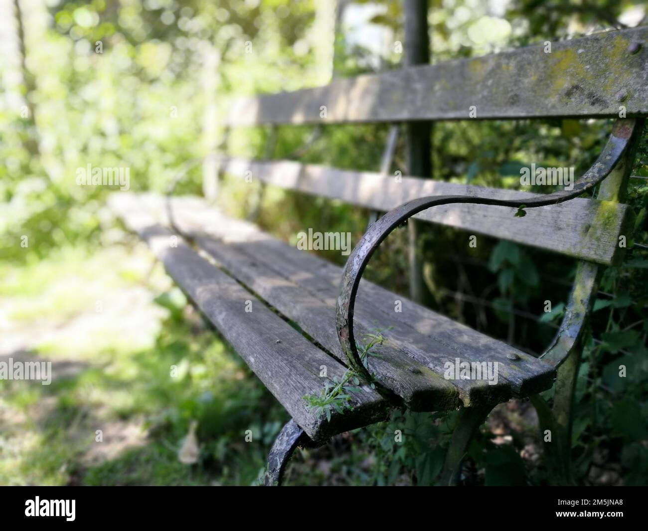 Olad-Bank in einem Park Stockfoto